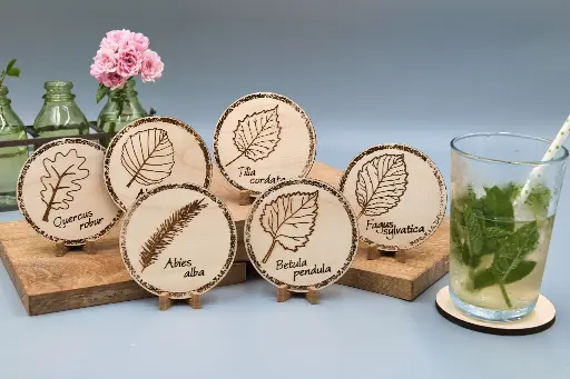 6 sous verres - Herbarium Latin Gravé